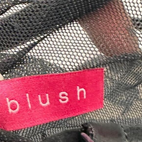 Blush Y2K Vintage Sheer Polka Do Lace Trim Corset Lingerie Top Size Medium - Picture 4 of 6